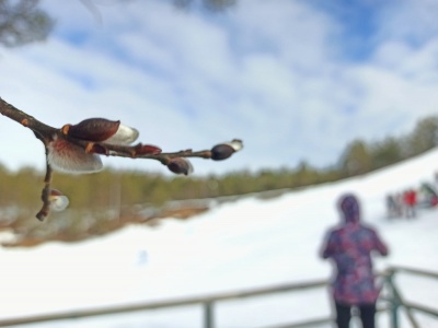 Гора Глубокая - 34.jpg